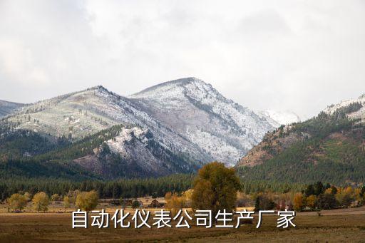 自動化儀表公司生產(chǎn)廠家