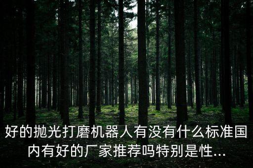 好的拋光打磨機(jī)器人有沒(méi)有什么標(biāo)準(zhǔn)國(guó)內(nèi)有好的廠家推薦嗎特別是性...