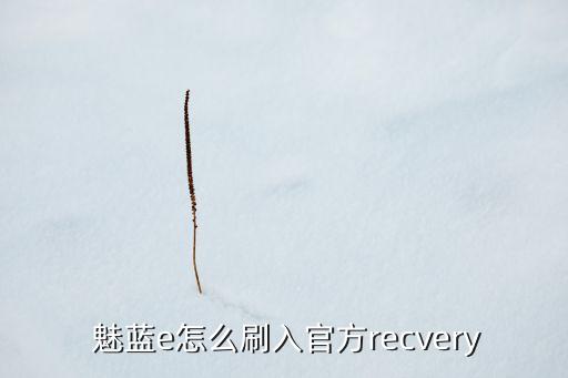  魅藍(lán)e怎么刷入官方recvery