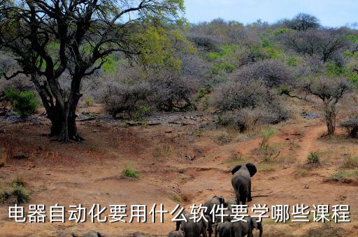 電器自動(dòng)化要用什么軟件要學(xué)哪些課程