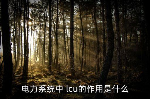 電力系統(tǒng)中 lcu的作用是什么
