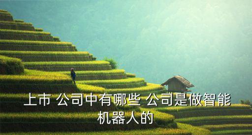 自動(dòng)化內(nèi)循環(huán)上市公司,中科院自動(dòng)化研究所上市公司