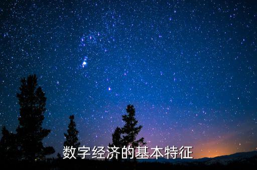 數(shù)字經(jīng)濟的基本特征