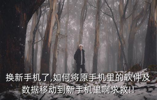 換新手機(jī)了,如何將原手機(jī)里的軟件及數(shù)據(jù)移動(dòng)到新手機(jī)里啊求救!!