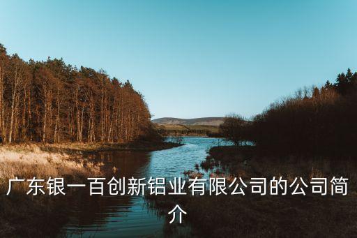 廣東銀一百創(chuàng)新鋁業(yè)有限公司的公司簡(jiǎn)介