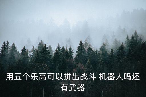 用五個(gè)樂(lè)高可以拼出戰(zhàn)斗 機(jī)器人嗎還有武器