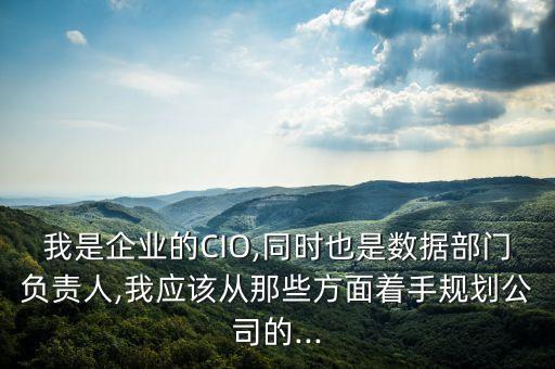 我是企業(yè)的CIO,同時(shí)也是數(shù)據(jù)部門負(fù)責(zé)人,我應(yīng)該從那些方面著手規(guī)劃公司的...