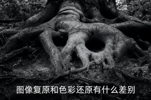 圖像復(fù)原和色彩還原有什么差別