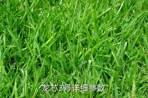 龍芯3號(hào)詳細(xì)參數(shù)