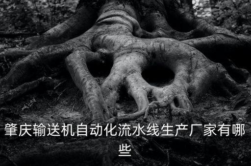 肇慶輸送機(jī)自動化流水線生產(chǎn)廠家有哪些