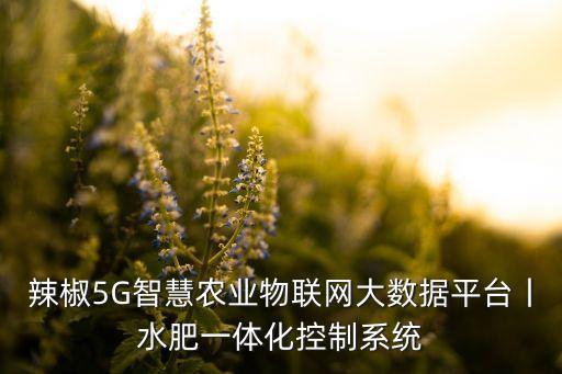 小型自動(dòng)化灌溉設(shè)備,自動(dòng)灌溉系統(tǒng)讓農(nóng)作物更快獲得灌溉