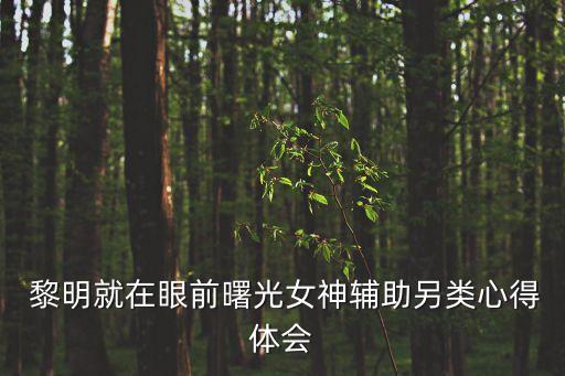 機器人打太極 黎明,黎明牌帶電作業(yè)機器人