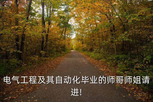 電氣工程及其自動化畢業(yè)的師哥師姐請進(jìn)!
