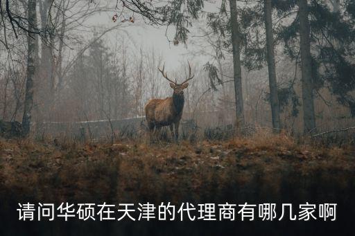 請問華碩在天津的代理商有哪幾家啊
