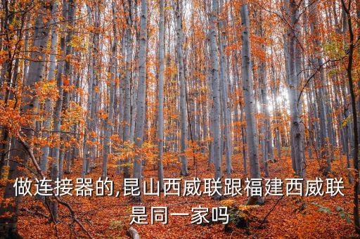 做連接器的,昆山西威聯(lián)跟福建西威聯(lián)是同一家嗎