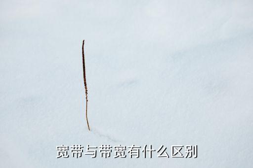 寬帶與帶寬有什么區(qū)別
