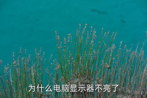 為什么電腦顯示器不亮了
