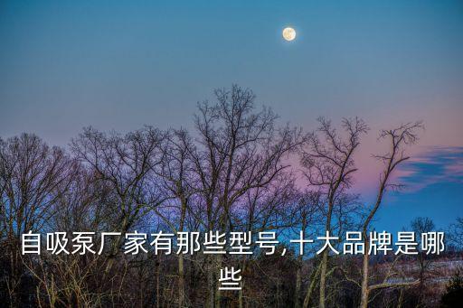 劉俊自動化設備,自吸泵廠家有哪些型號?具體型號會隨時更新