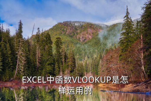 EXCEL中函數(shù)VLOOKUP是怎樣運(yùn)用的