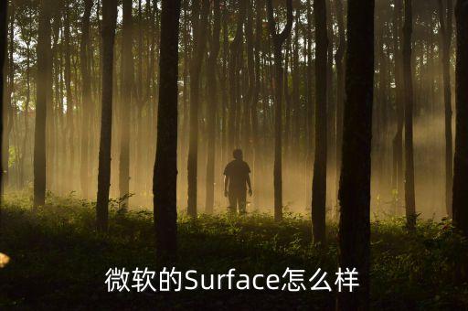 微軟的Surface怎么樣