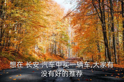 想在 長安 汽車中買一輛車,大家有沒有好的推薦