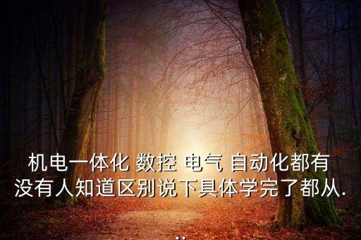 機電一體化 數(shù)控 電氣 自動化都有沒有人知道區(qū)別說下具體學完了都從...