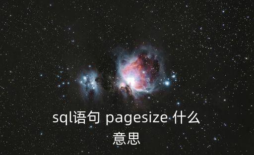 pagesize，pagesize的一個問題求高手解答