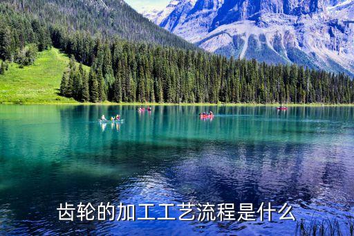 齒輪的加工工藝流程是什么