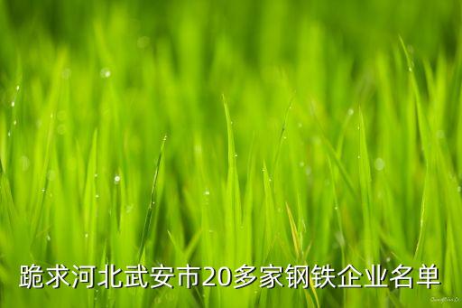 河北鋼鐵自動(dòng)化公司,邯鄲自動(dòng)化公司是什么?