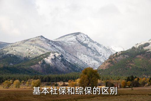 綜保，基本社保和綜保的區(qū)別
