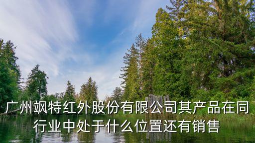 颯特紅外，廣州颯特紅外股份有限公司其產(chǎn)品在同行業(yè)中處于什么位置還有銷售