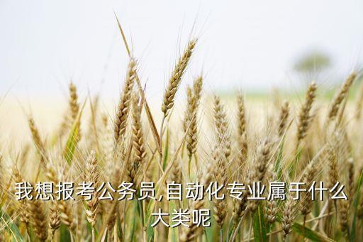 我想報(bào)考公務(wù)員,自動(dòng)化專業(yè)屬于什么大類呢