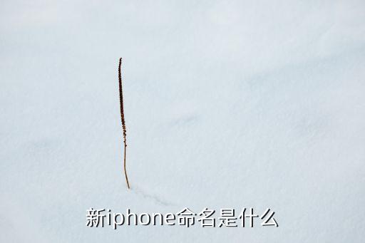 新iphone命名是什么