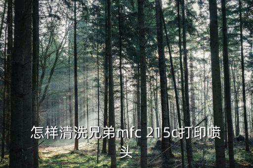 噴頭清洗，怎樣清洗打印機(jī)噴頭