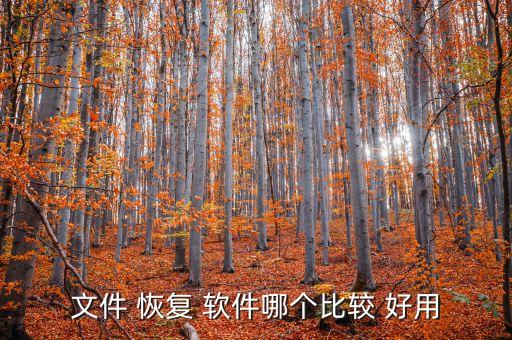 哪款免費(fèi)數(shù)據(jù)恢復(fù)軟件好用嗎,免費(fèi)的數(shù)據(jù)恢復(fù)軟件有沒(méi)有