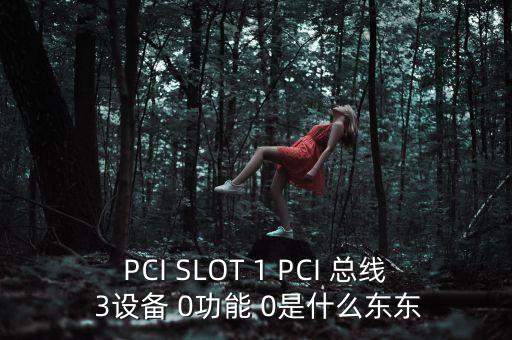 PCI SLOT 1 PCI 總線 3設(shè)備 0功能 0是什么東東