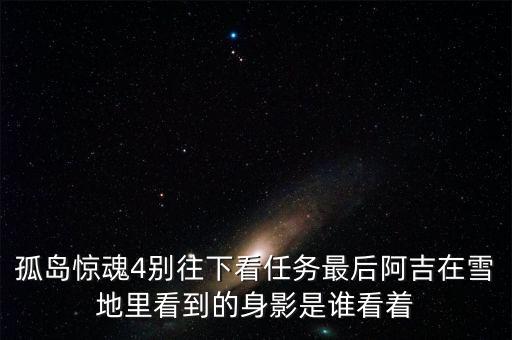 孤島驚魂4別往下看任務最后阿吉在雪地里看到的身影是誰看著