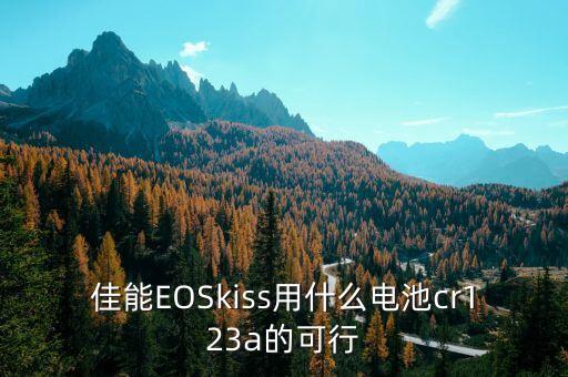 cr123a電池，CR 123A 鋰電池可以充電嗎