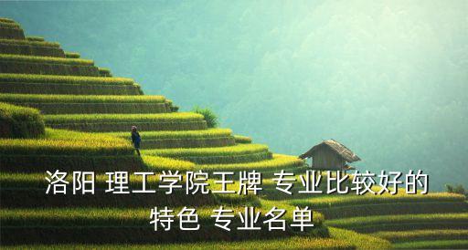  洛陽 理工學(xué)院王牌 專業(yè)比較好的特色 專業(yè)名單