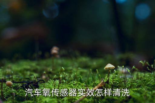 汽車氧傳感器實(shí)效怎樣清洗