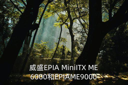威盛EPIA MiniITX ME6000和EPIAME9000