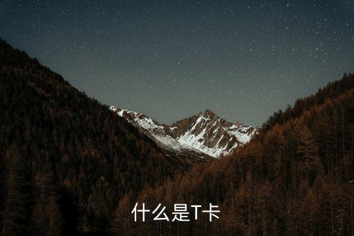 什么是T卡