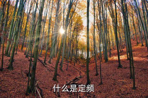 什么是定頻