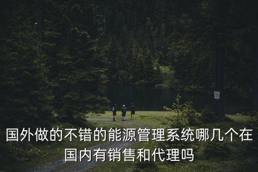能源管理平臺(tái)，國外做的不錯(cuò)的能源管理系統(tǒng)哪幾個(gè)在國內(nèi)有銷售和代理嗎