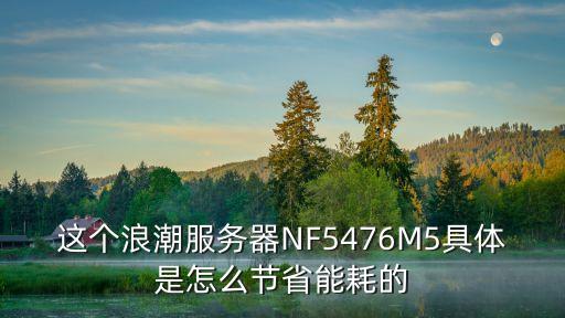 這個(gè)浪潮服務(wù)器NF5476M5具體是怎么節(jié)省能耗的