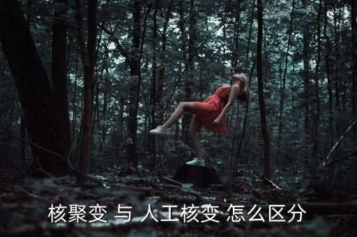 核聚變 與 人工核變 怎么區(qū)分