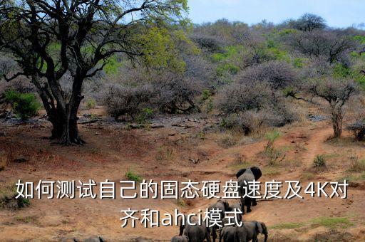 固態(tài)硬盤性能測試，固態(tài)硬盤怎么檢測好壞用pe工具箱能檢測固態(tài)硬盤嗎