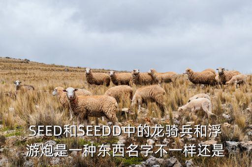 SEED和SEEDD中的龍騎兵和浮游炮是一種東西名字不一樣還是