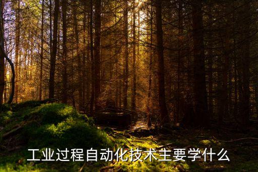 工業(yè)過程自動化技術主要學什么