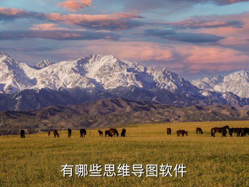 有哪些思維導(dǎo)圖軟件